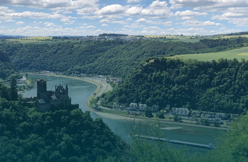 Kleinstwasserkraftanlage mit 55 Turbinen im Rhein muss genehmigt werden